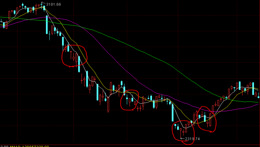 福建多所高校今年招生有变